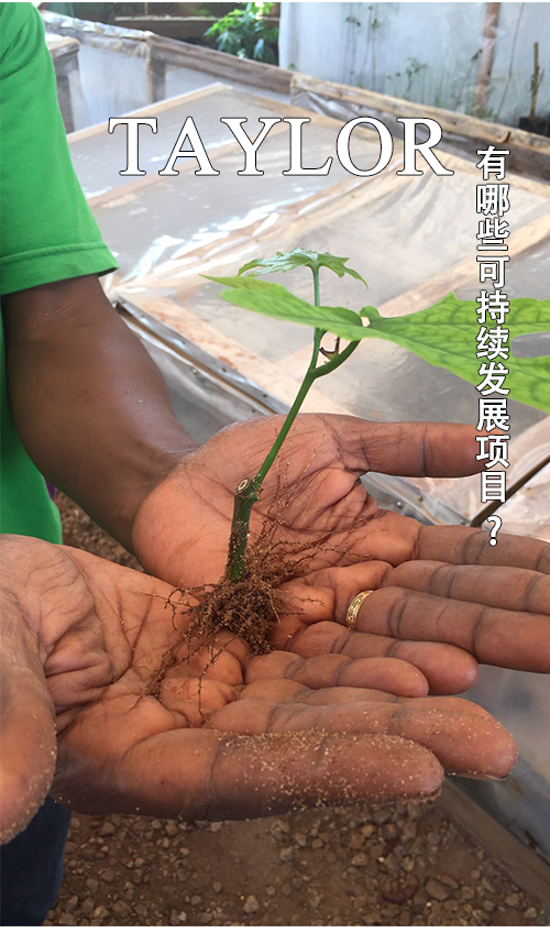情人节1_08.png