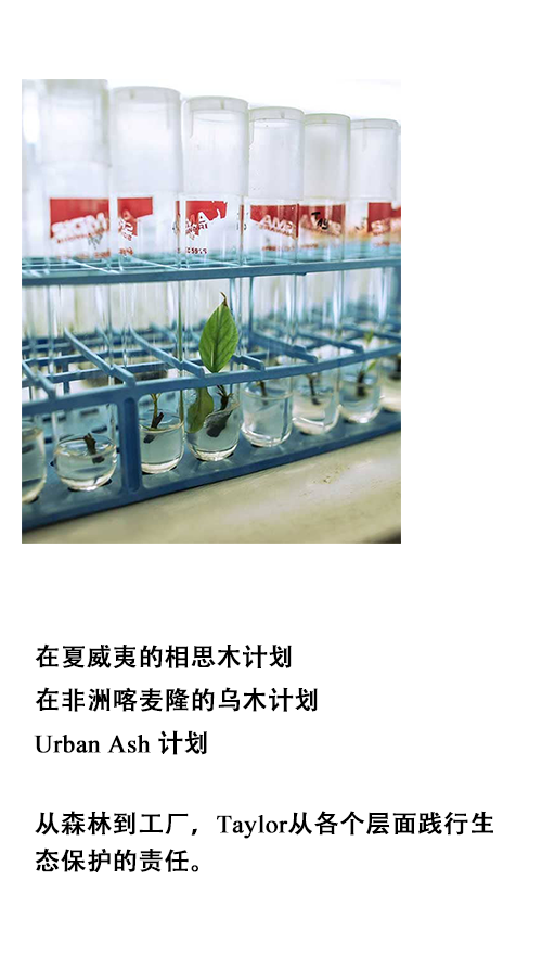 情人节1_09.png